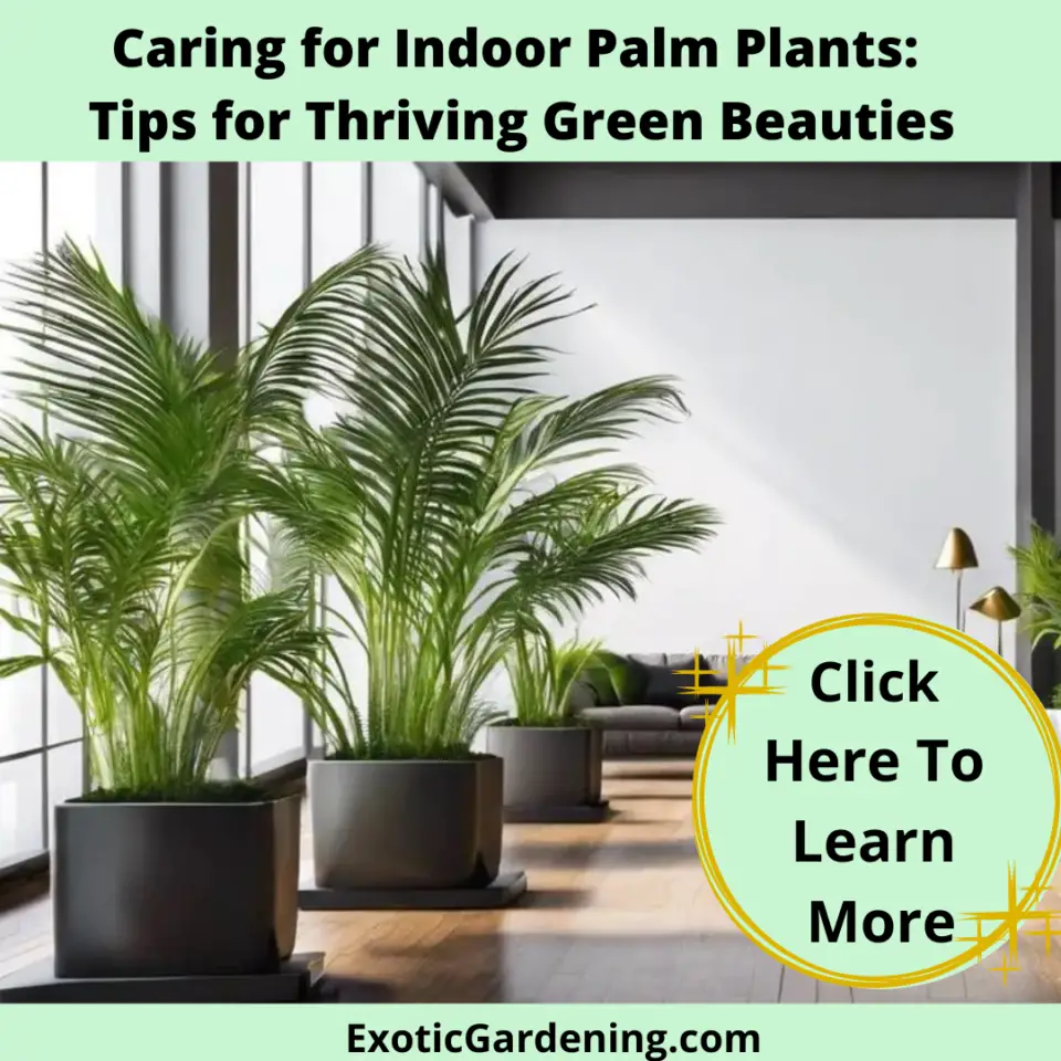 Eucalyptus Growing Indoors Tips And Troubleshooting Guide Exotic