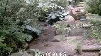 'Video thumbnail for Anderson Japanese Gardens Trip ExperimentalHomesteader.com'