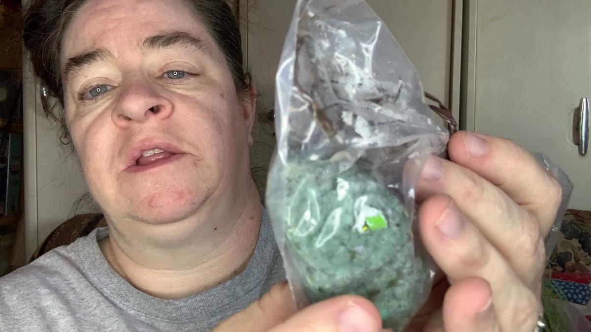 'Video thumbnail for Lowe’s Garden-To-Go Kit Week 3 Sapling Disappointment - Pest And Disease Prone Red Pine Tree'
