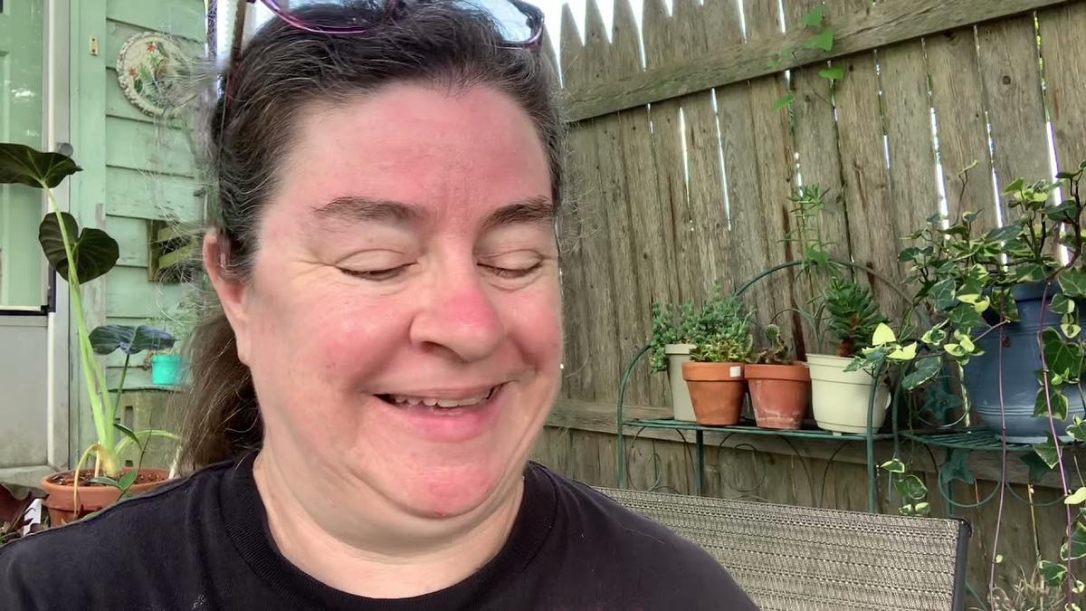 'Video thumbnail for Tropical Plant Delivery Day 2102 Experimental Homesteader'