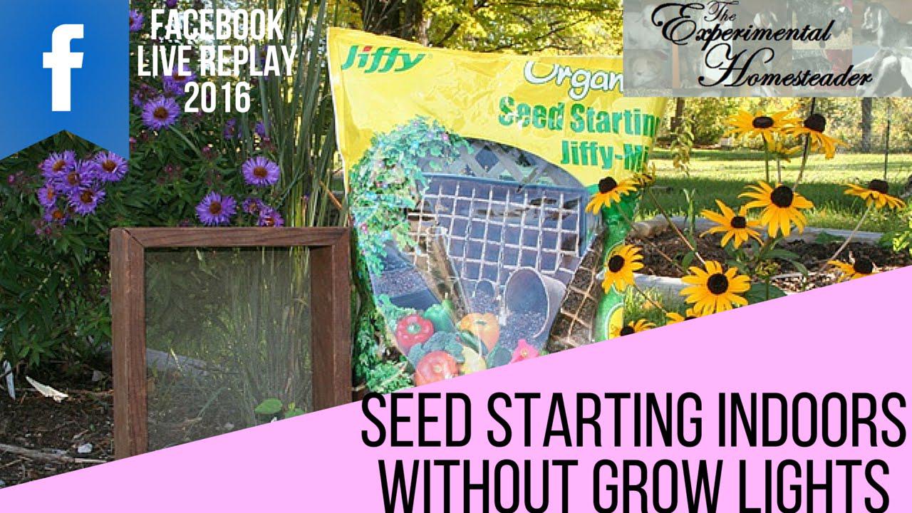 'Video thumbnail for Seed Starting Indoors Without Grow Lights - Facebook Live Replay'