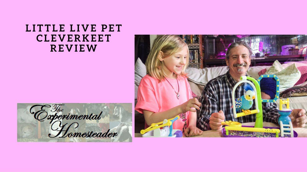 'Video thumbnail for Little Live Pet Cleverkeet Review'