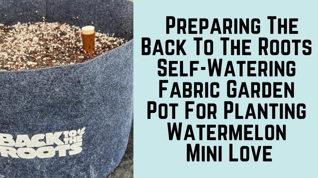 'Video thumbnail for Preparing The Back To The Roots Self-Watering Fabric Garden Pot For Planting Watermelon Mini Love'
