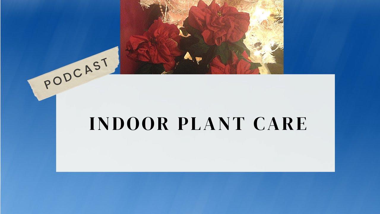 'Video thumbnail for Indoor Plant Care Podcast'