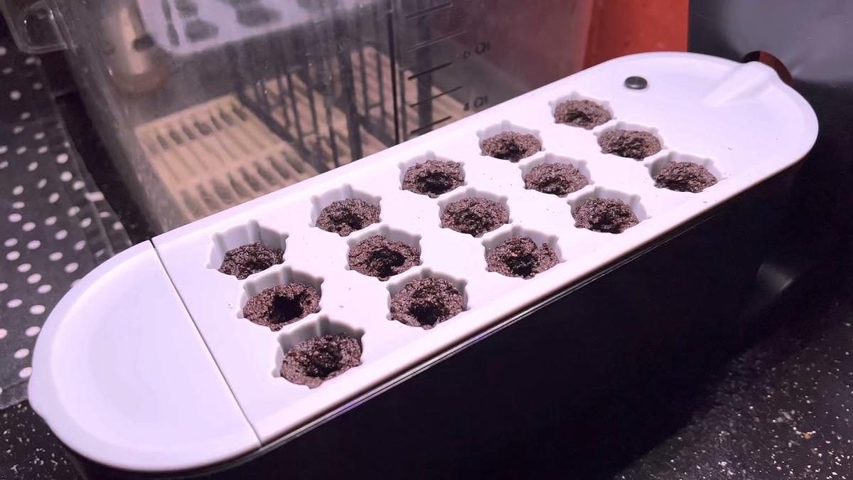 'Video thumbnail for AeroGarden Sprout Day 2250 Experimental Homesteader'