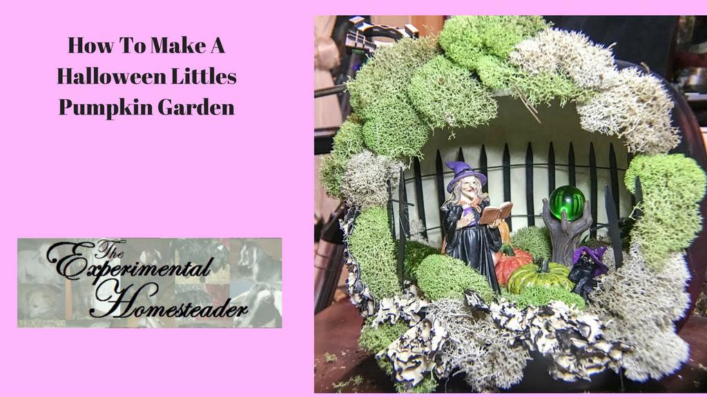 'Video thumbnail for How To Make A Halloween Littles Pumpkin Garden'