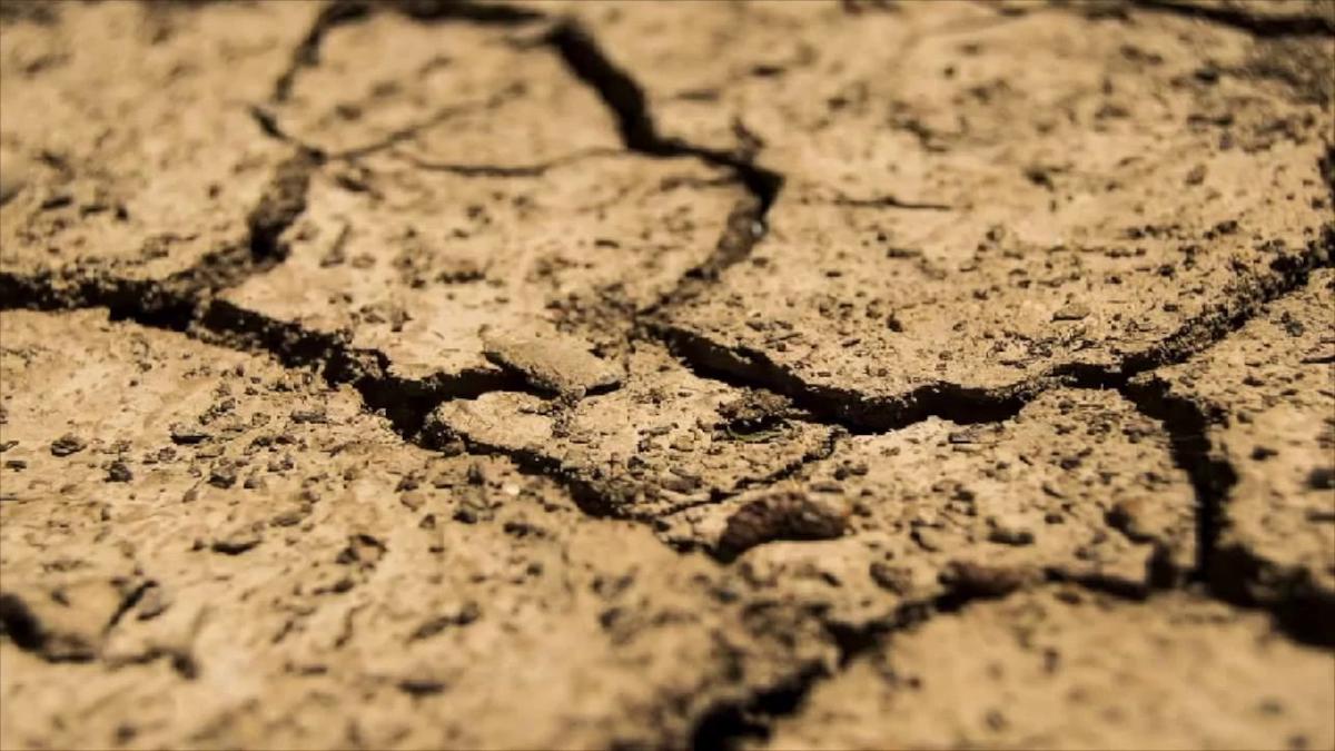 'Video thumbnail for Edible Drought Garden'