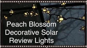 'Video thumbnail for Icicle Solar Peach Blossom Decorative Lights Review'