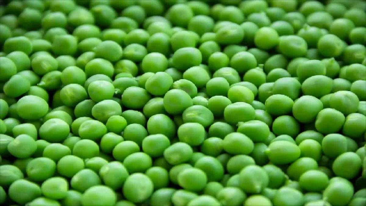 'Video thumbnail for Long Term Seed Storage'