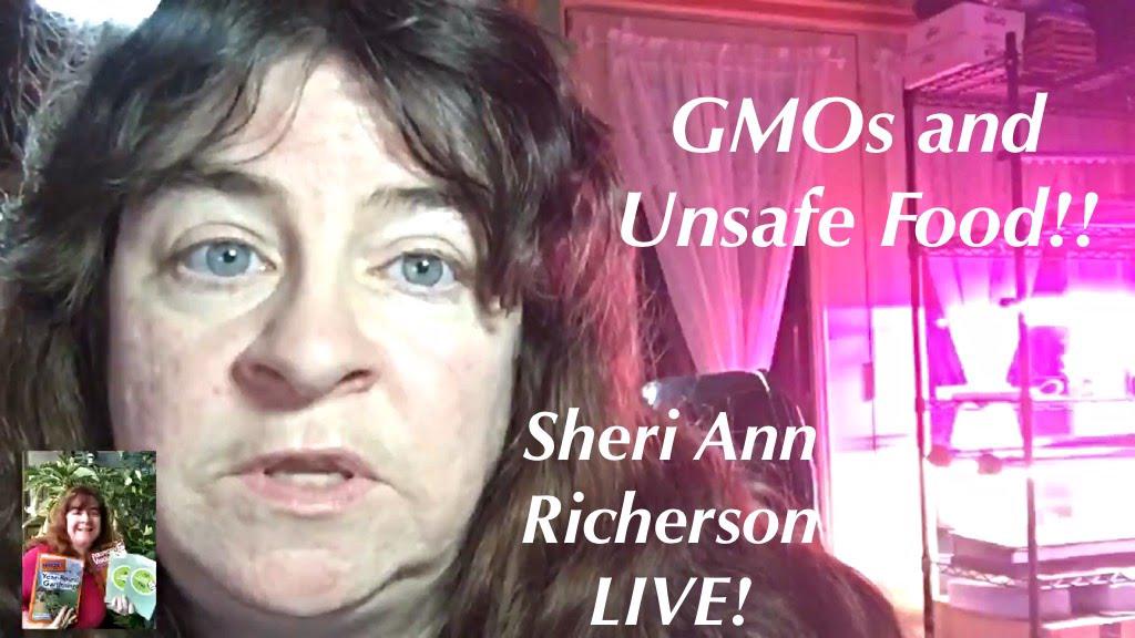 'Video thumbnail for Sheri Ann Richerson talks about GMO's and Unsafe Food - Experimental Homesteader Live Stream'