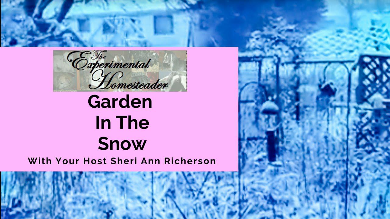 'Video thumbnail for Garden In The Snow'