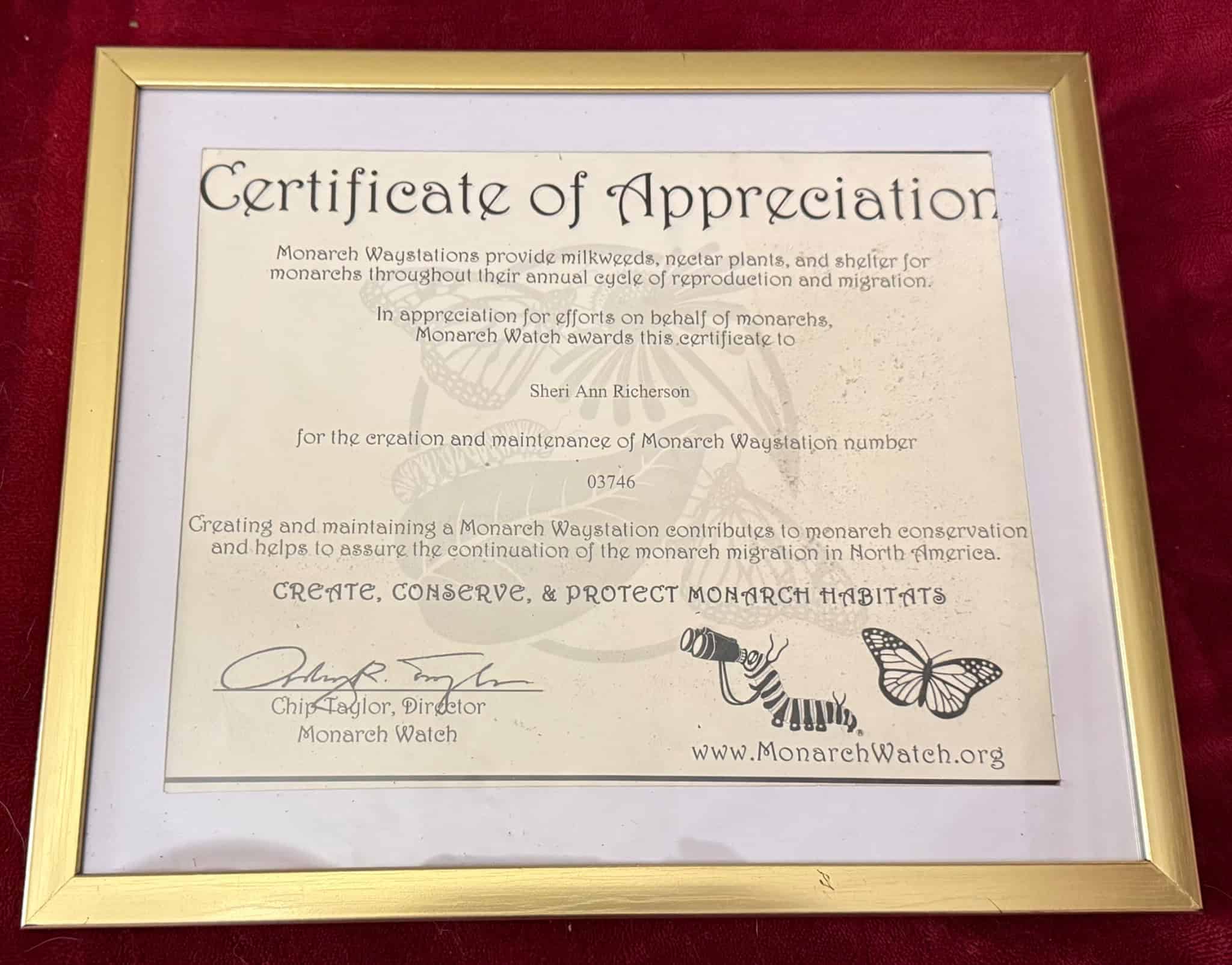 Monarch Watch certificate recognizing Sheri Ann Richerson's Monarch Waystation.