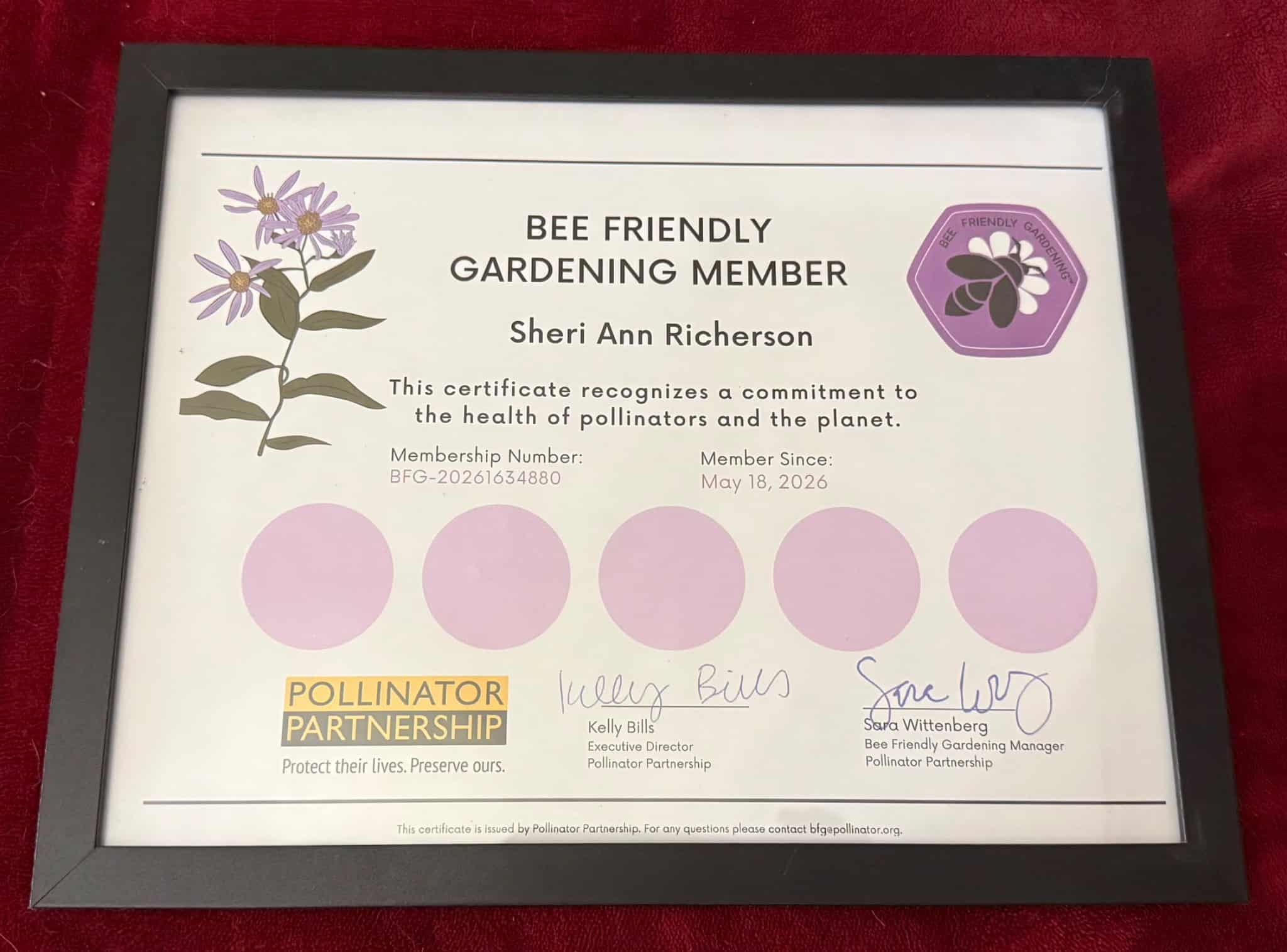 Bee Friendly Gardening membership certificate for Sheri Ann Richerson.