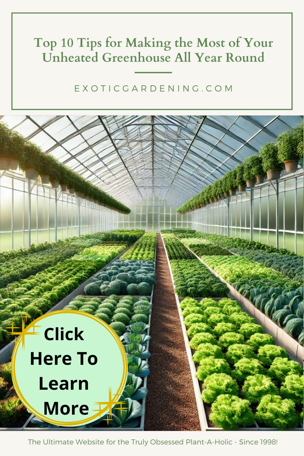 A greenhouse interior featuring lush rows of kale and lettuce growing in an organized and productive space. The clear panels allow sunlight to flood in, illuminating the vibrant greens and creating a sustainable, year-round gardening environment with a mulched floor.