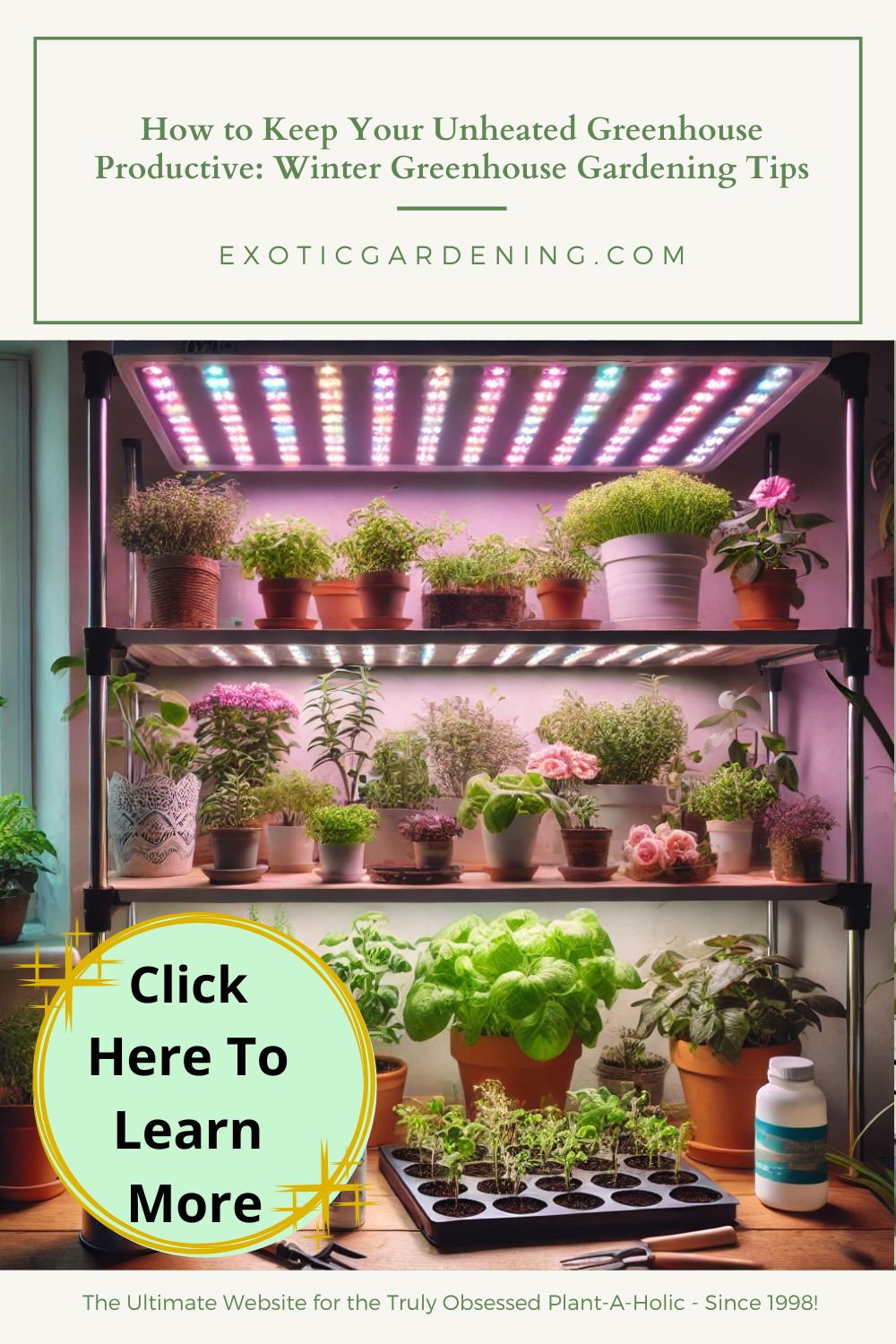 An indoor gardening setup featuring shelves filled with various plants like herbs, leafy greens, and flowers under full-spectrum LED grow lights. The organized space includes small pots and gardening tools arranged neatly nearby.