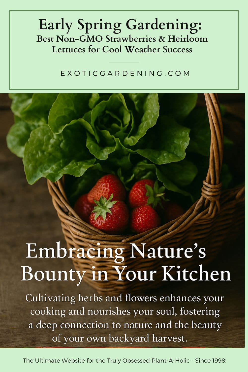 Inspirational gardening quote overlay on a basket of strawberries and lettuce, reading “Grow beauty and nourishment from your own backyard.” 