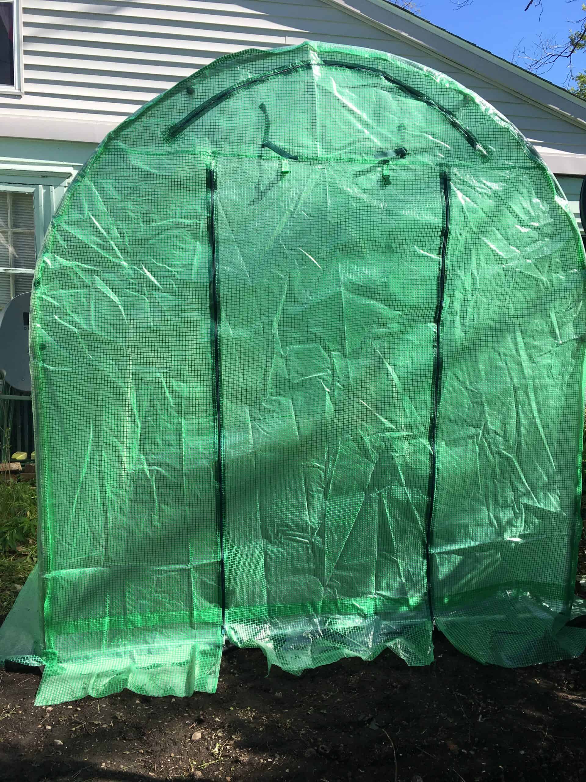 Spring greenhouse growing at Exotic Gardening.