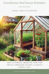 A quaint backyard greenhouse with a rustic wooden frame and plastic sheeting, surrounded by wildflowers and a vegetable garden. Inside, rows of tomato plants and leafy greens grow in pots and raised beds, with a wooden bench and tools nearby.