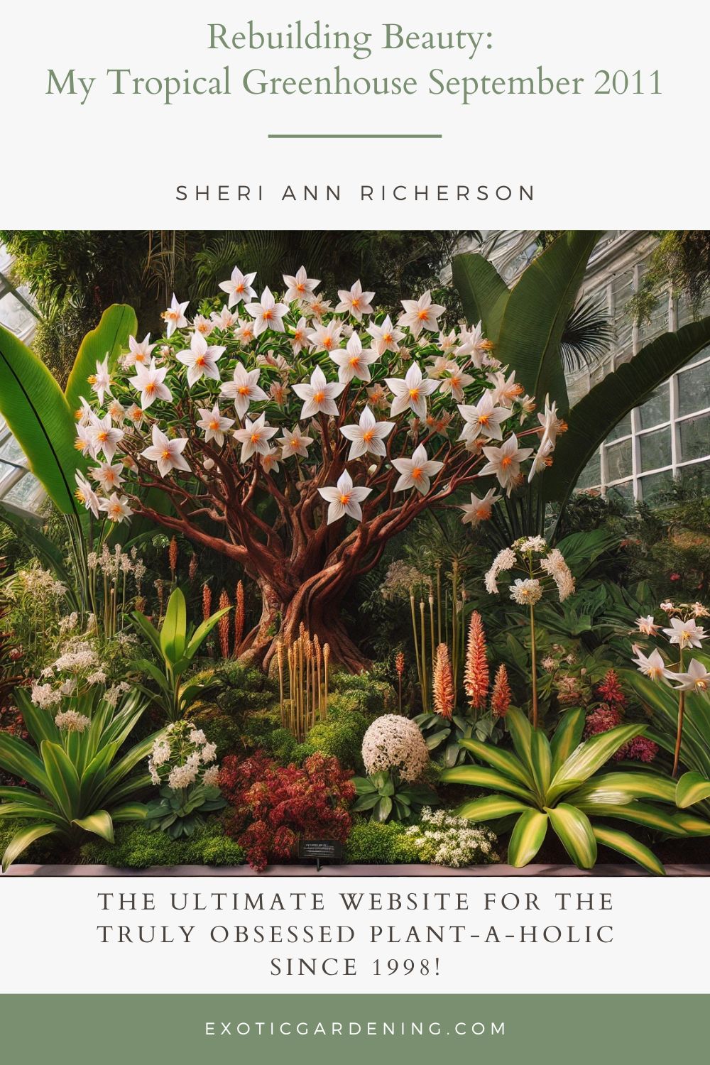 A detailed view of a Milky Way tree (Stemmadenia littoralis) showcasing its starry white flowers surrounded by tropical plants, including fragrant ginger with white blooms and green leaves, and scented geraniums in soft pink and red hues. The tree is highlighted in a warm greenhouse environment with sunlight streaming through clear panels, casting a gentle glow on the lush greenery.