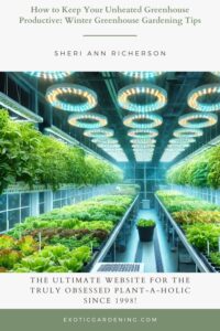 A high-tech greenhouse with rows of plants growing under advanced LED grow lights. Automated irrigation systems and temperature sensors create a professional setup, highlighting the lush greenery and modern equipment for efficient gardening.