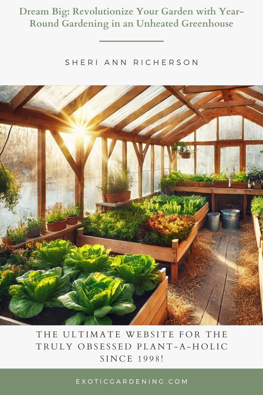 Interior of a cozy unheated greenhouse in winter, featuring wooden frames and clear plastic sheeting. Rows of thriving leafy greens such as lettuce, spinach, and Swiss chard grow in raised wooden beds. Sunlight streams through the plastic, highlighting the vibrant plants. A wooden shelf holds small pots of herbs, and a watering can rests on the straw-covered floor, creating a practical and inviting winter gardening space.