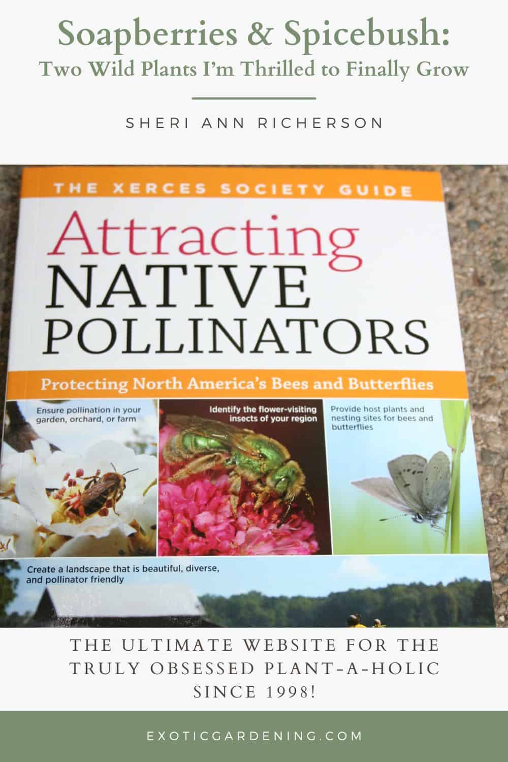 Cover of “Attracting Native Pollinators” book featuring bees and butterflies.