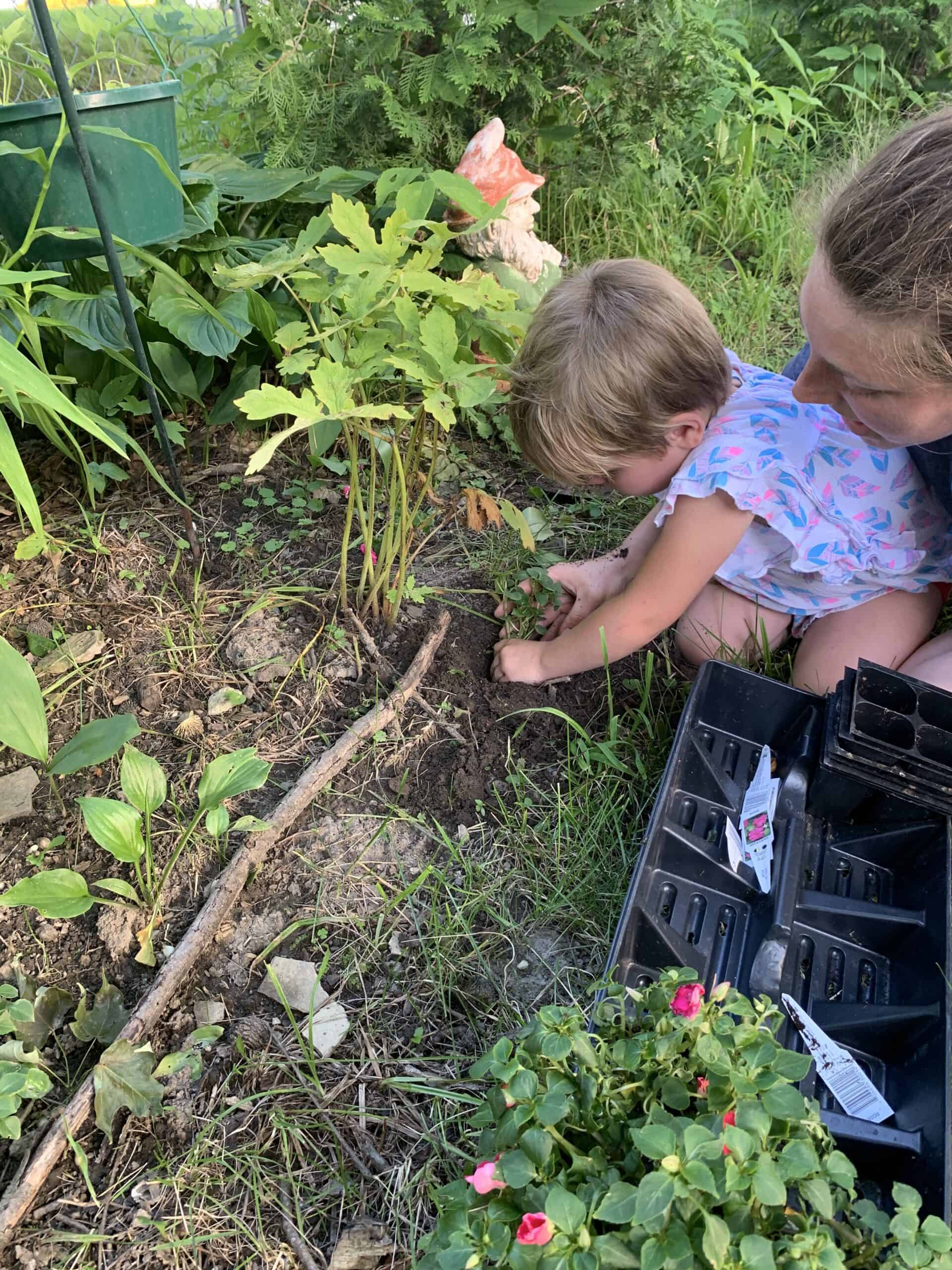 Sarah and her daughter planting impatiens in the Walnut Garden at Exotic Gardening.