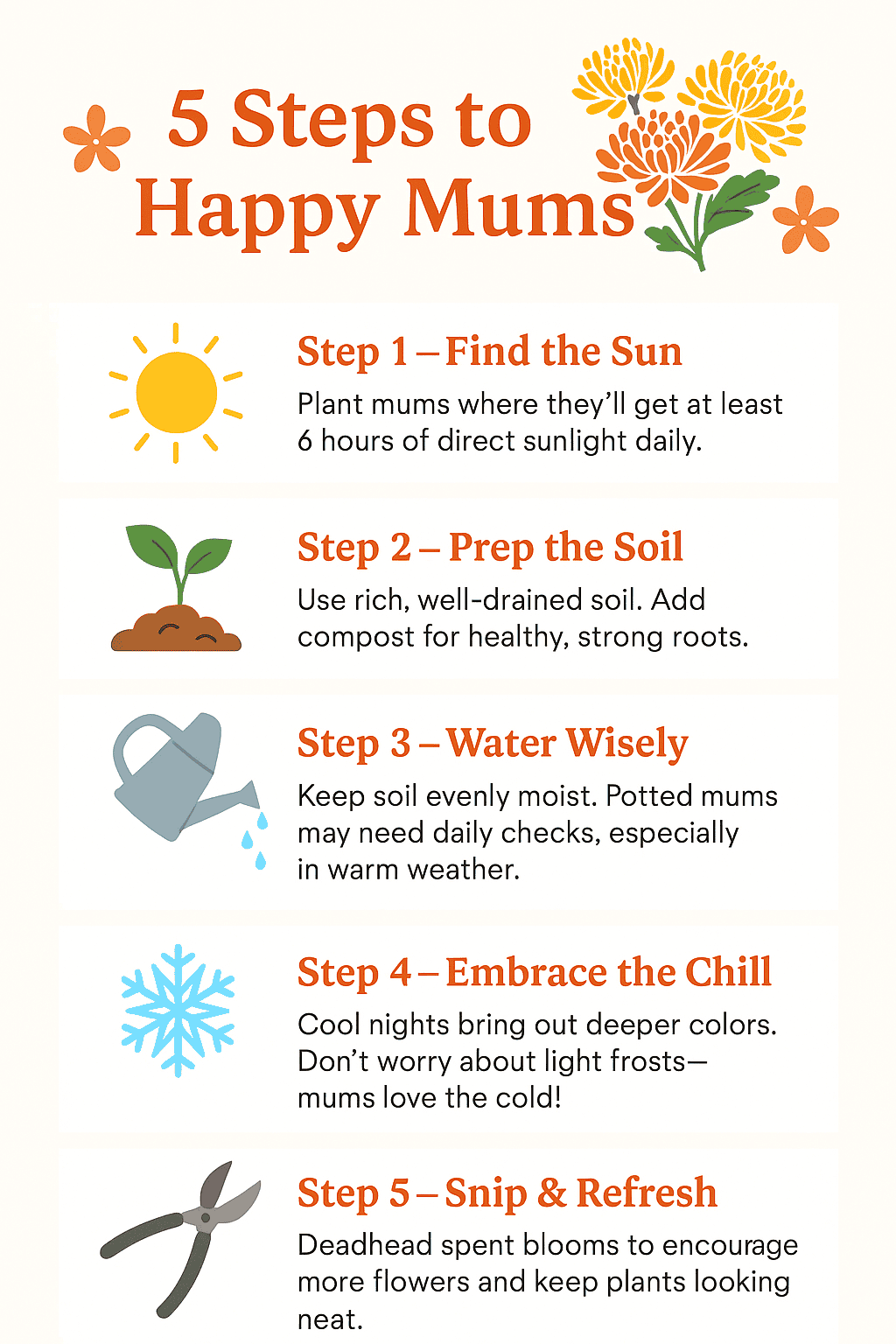 Vertical infographic titled ‘5 Steps to Happy Mums’ with icons of sun, soil, watering can, snowflake, and pruning shears. Each step lists simple care tips for mums, including sunlight, soil, watering, cold tolerance, and deadheading.