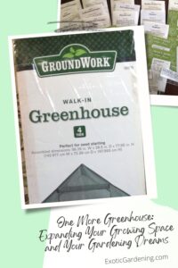 A boxed GroundWork walk-in greenhouse, labeled as 4-tier and perfect for seed starting, with seed packets scattered in the background.