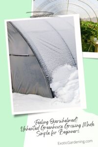 A frosted, snow-covered greenhouse exterior surrounded by deep snow.