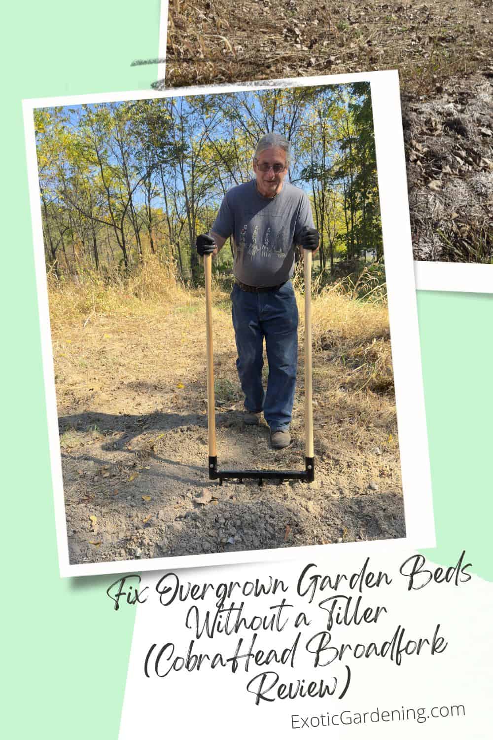 Jeffrey Rhoades demonstrating how to use the CobraHead Broadfork to open up dry, compacted garden soil during drought conditions.