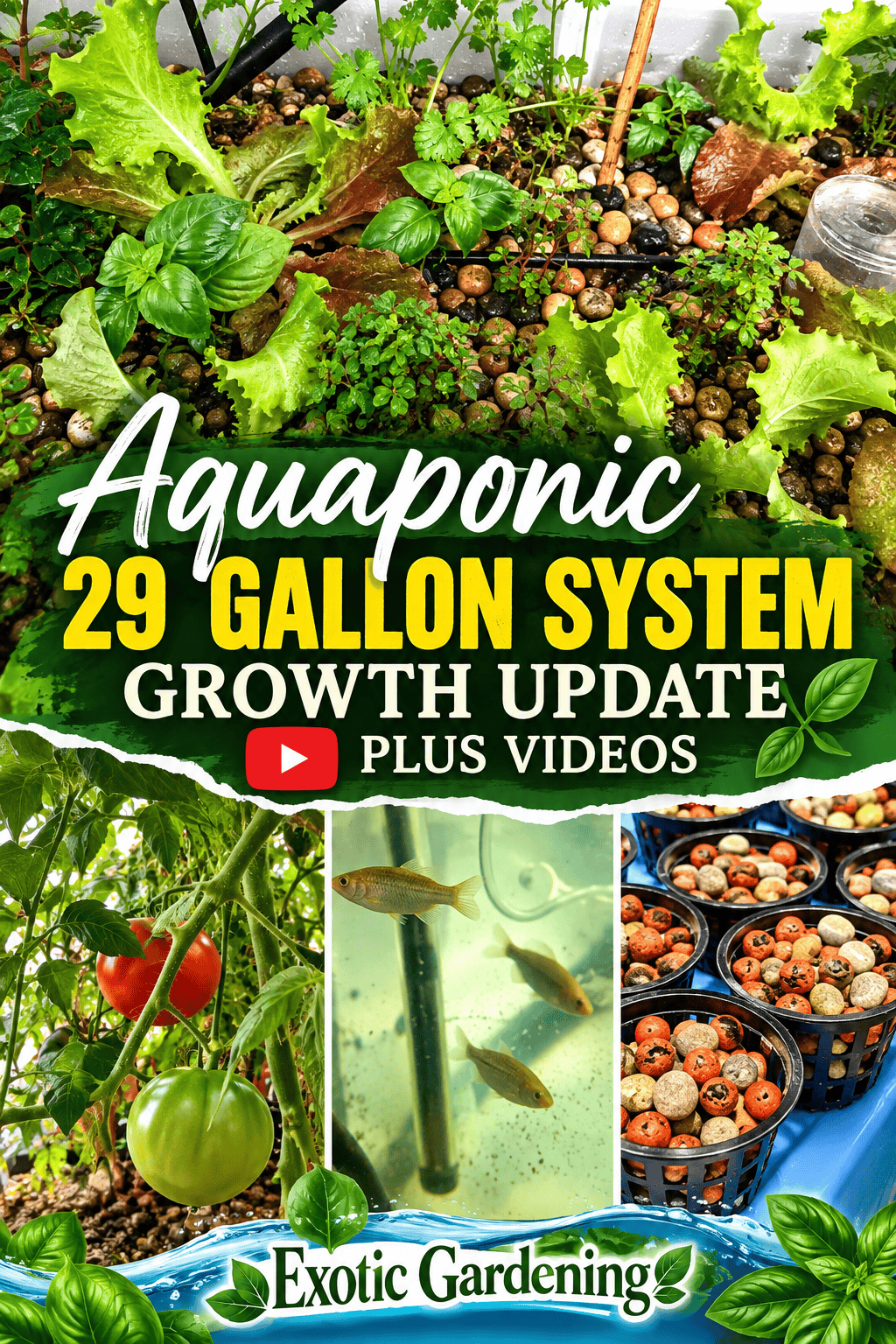 Aquaponics growth Pinterest image
