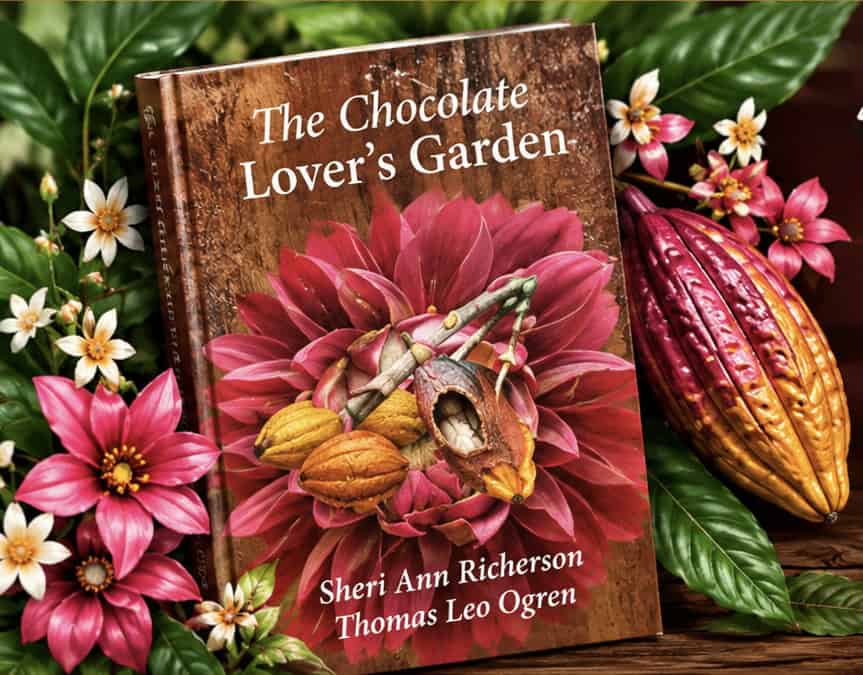 Cacao and chocolate gardening artwork
