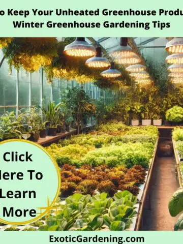 A greenhouse with neat rows of vegetables and leafy greens, illuminated by warm LED grow lights hanging overhead. The clean greenhouse structure allows sunlight to filter through its panels, creating a vibrant and productive growing environment with gardening tools arranged nearby.