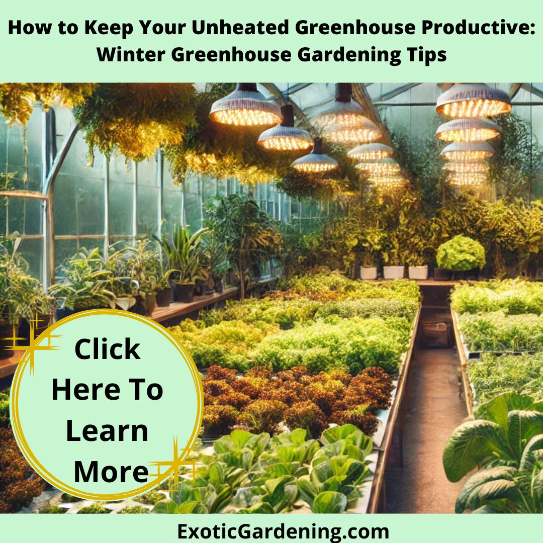 A greenhouse with neat rows of vegetables and leafy greens, illuminated by warm LED grow lights hanging overhead. The clean greenhouse structure allows sunlight to filter through its panels, creating a vibrant and productive growing environment with gardening tools arranged nearby.