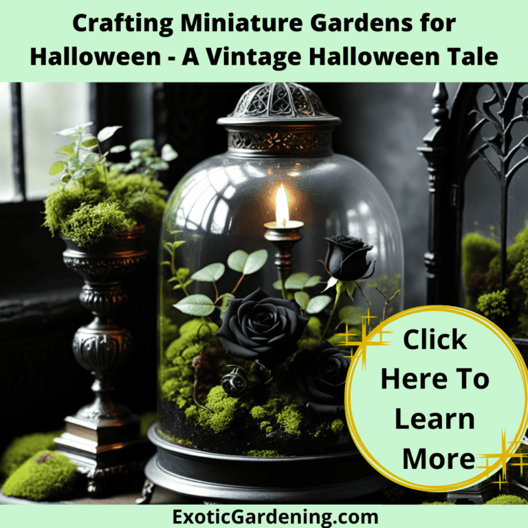 A terrarium filled with plants.
