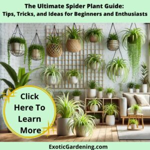 A modern living room featuring spider plants arranged on a sleek metal plant stand, a coffee table, and in hanging planters, with clean lines and vibrant greenery illuminated by soft light.