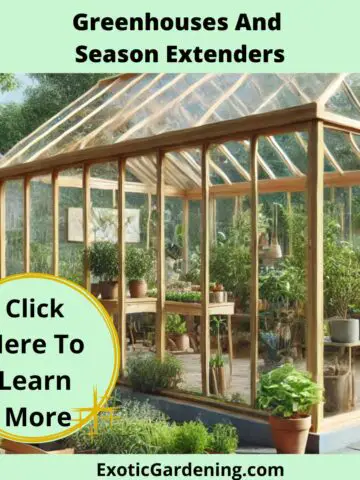 A modern and spacious backyard greenhouse with glass panels and a wooden frame, surrounded by a lush garden. Inside are rows of potted plants, including herbs and vegetables, growing under natural light. The serene setting includes flower beds, a vegetable patch, and garden tools nearby.