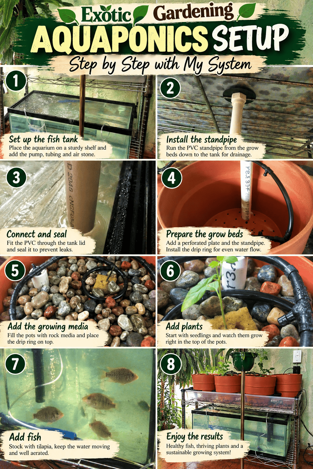 DIY aquaponics setup Pinterest graphic - Exotic Gardening