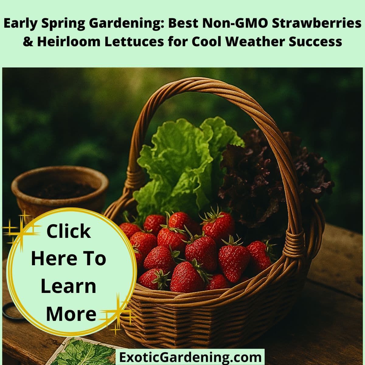 A wicker basket overflowing with strawberries and lettuces on a garden table surrounded by tools and seed packets in soft morning light.