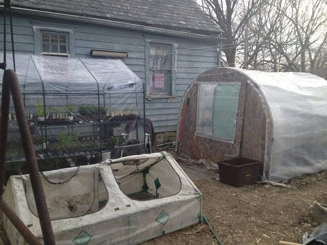 Greenhouse growing area at Exotic Gardening.