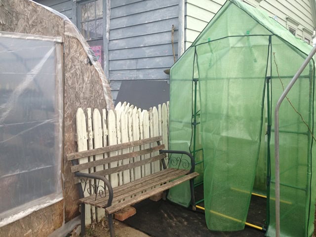 Plants and protected growing space at Exotic Gardening Farm and Wildlife Habitat.