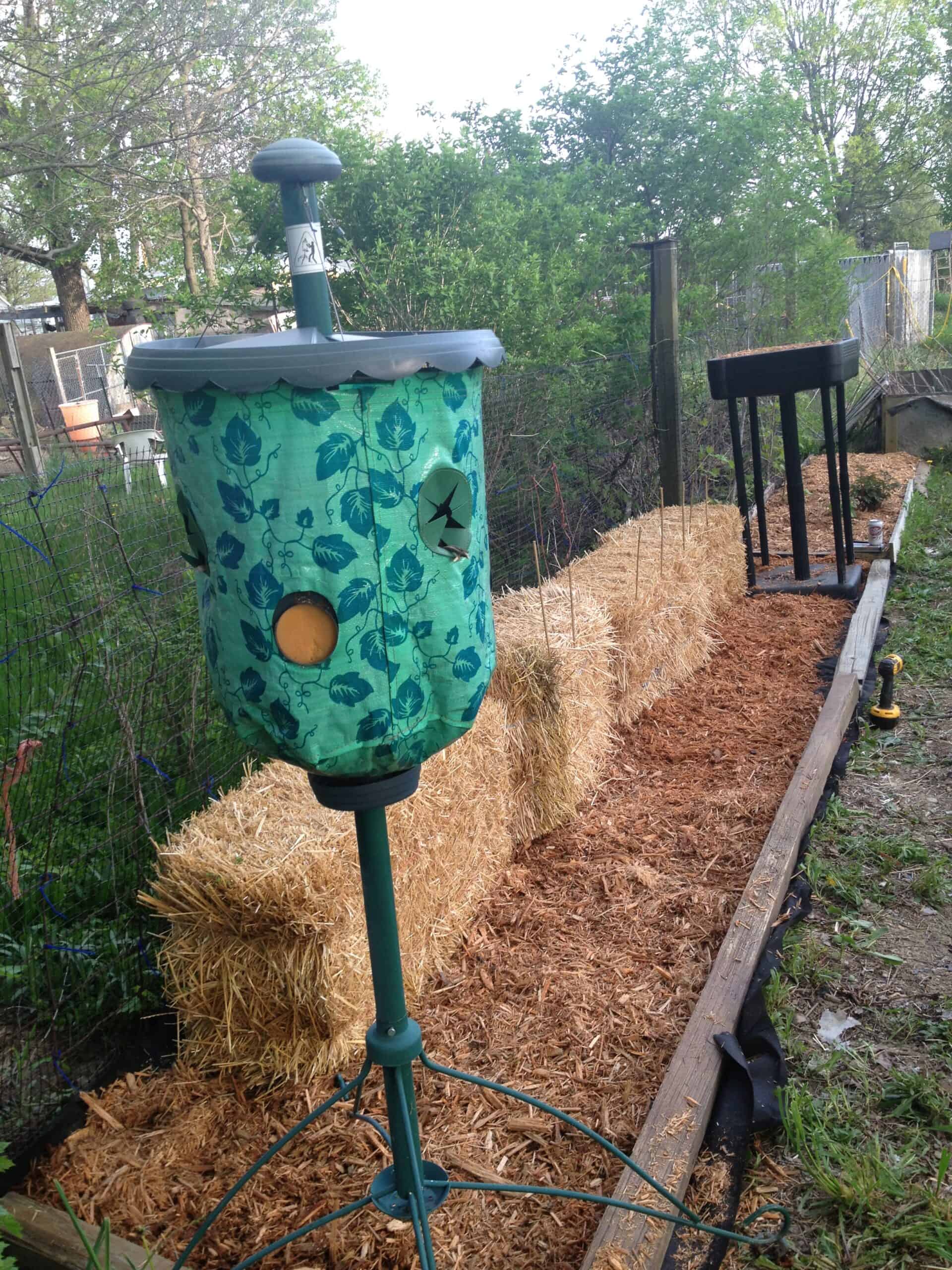 Growing area in the Experimental Garden at Exotic Gardening Farm and Wildlife Habitat.