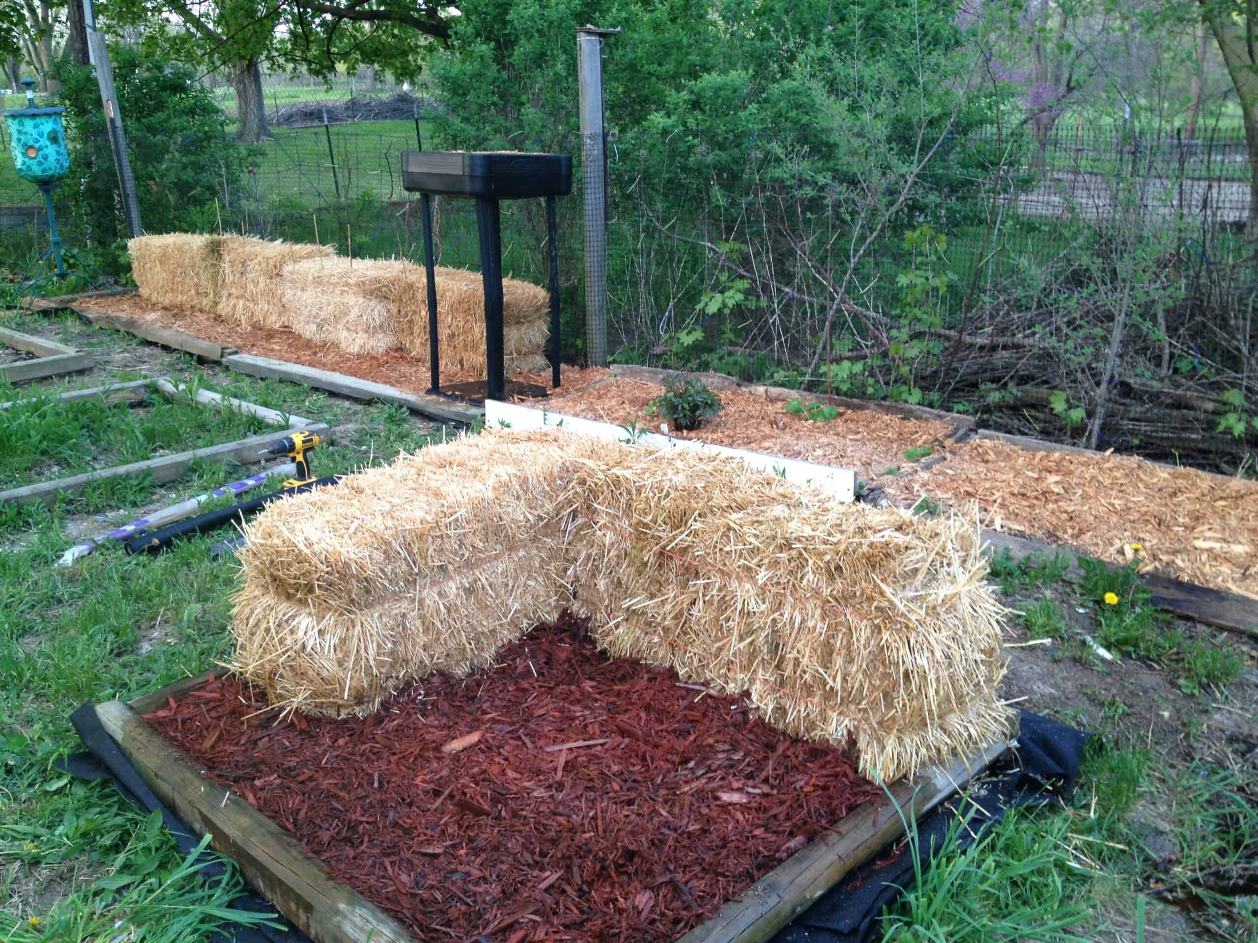 Experimental container growing setup used for lettuce and hanging plants at Exotic Gardening.