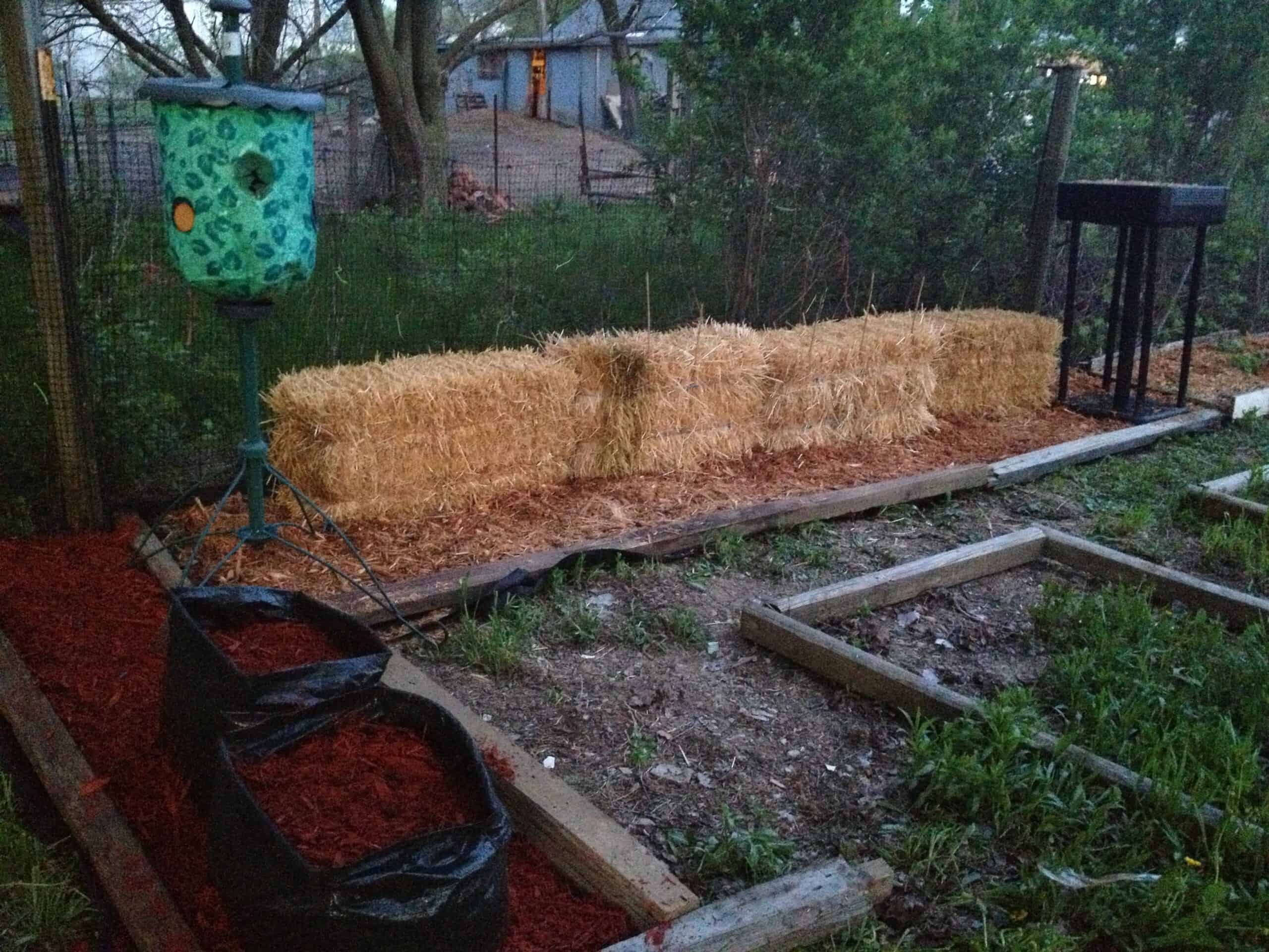 Container growing in the Experimental Garden at Exotic Gardening Farm and Wildlife Habitat.