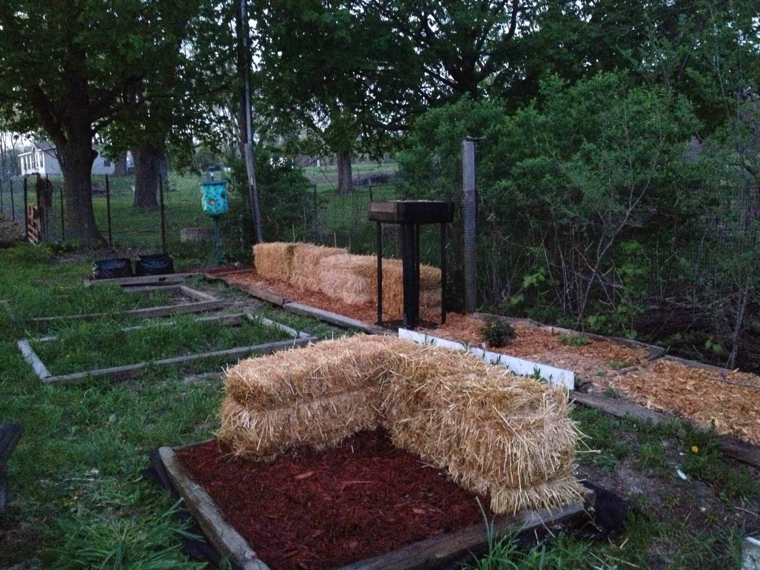 The Experimental Garden at Exotic Gardening Farm and Wildlife Habitat.
