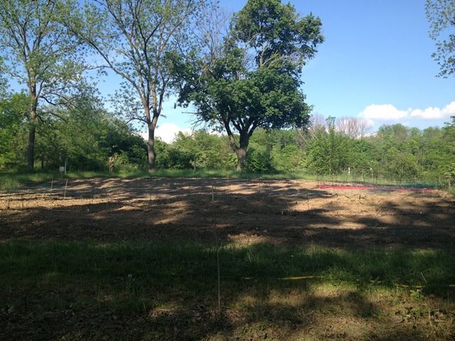 The mixed landscape of the Far Acre Garden at Exotic Gardening Farm and Wildlife Habitat.