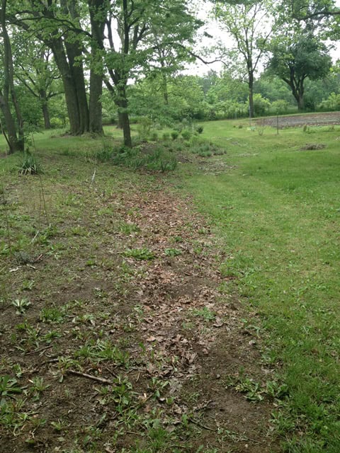 A planted area in the Far Acre Garden at Exotic Gardening Farm and Wildlife Habitat.