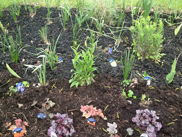 Part of the varied landscape in the Far Acre Garden.