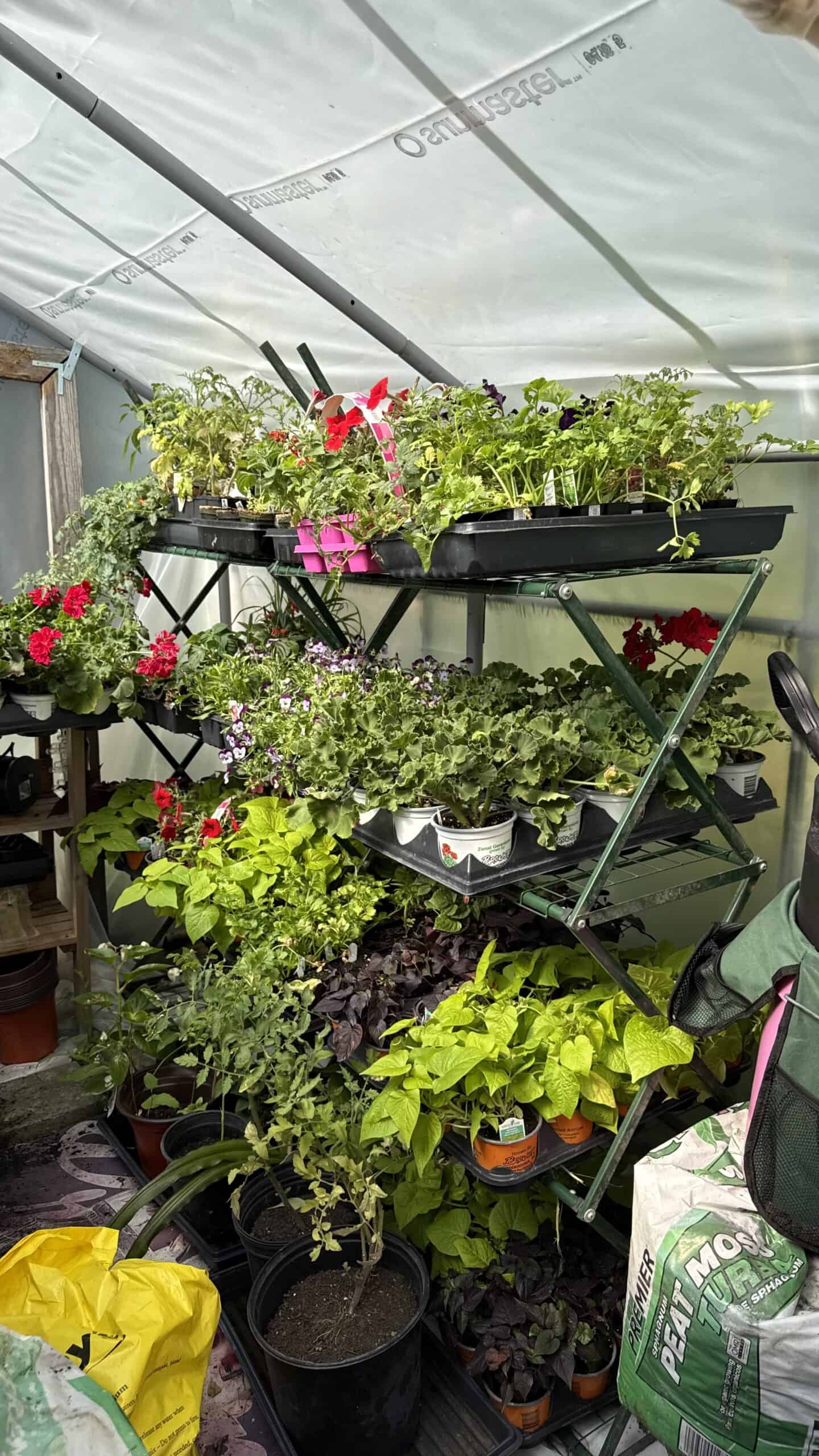 Part of the greenhouse growing system at Exotic Gardening Farm and Wildlife Habitat.